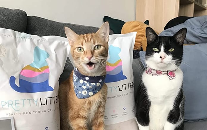 Lotus Scented PrettyLitter Monthly Subscription