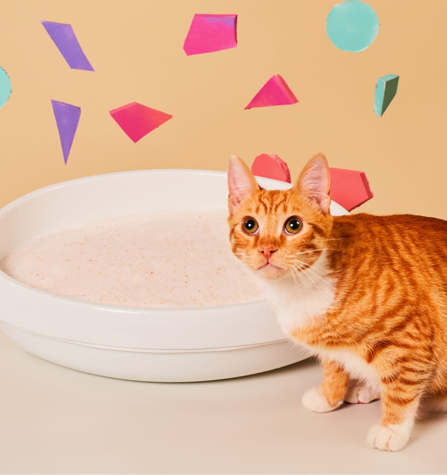 PrettyLitter Monthly Subscription
