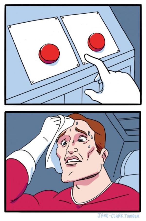 Two Buttons meme about PrettyLitter