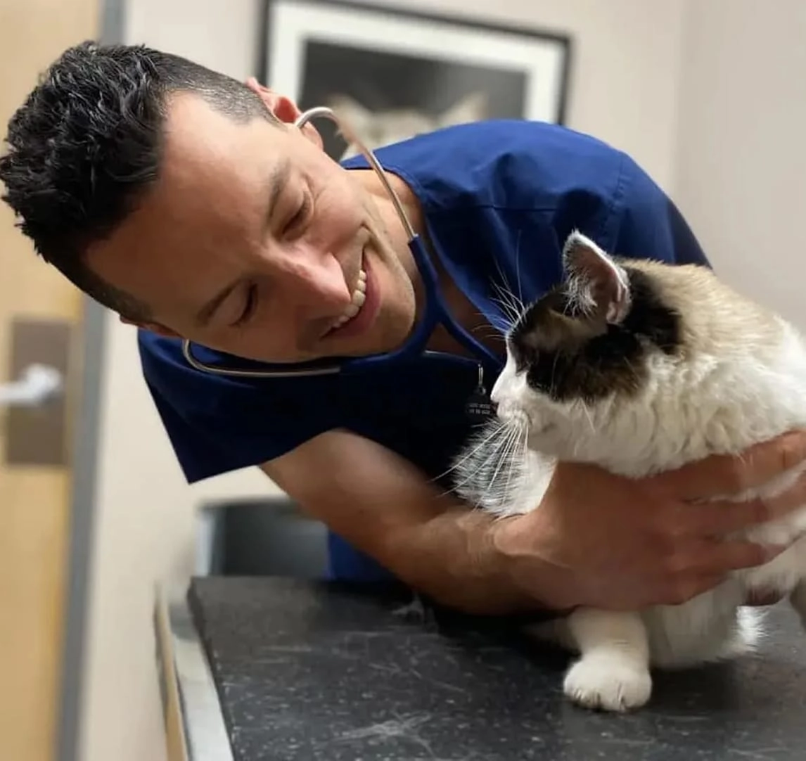 Dr. DeWire is holding a cat on top of a counter