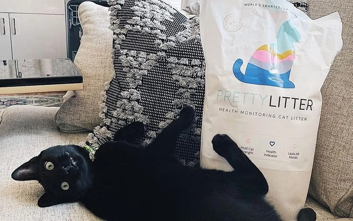 Happy PrettyLitter cat at home