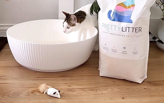 Happy PrettyLitter cat at home