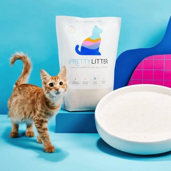 A Bag of PrettyLitter